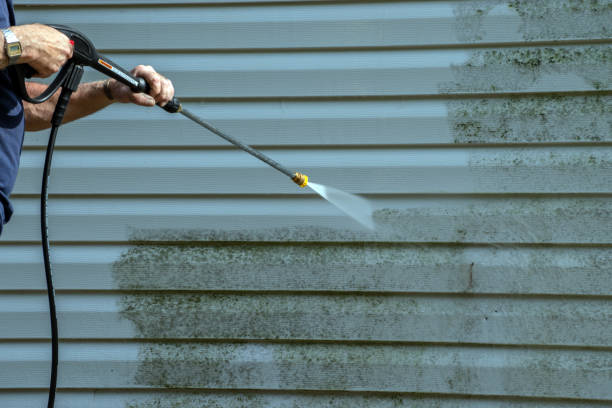 Best Driveway Cleaning and Restoration in Glen Ellyn, IL